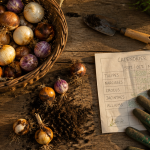 quand planter bulbes sur table de jardin