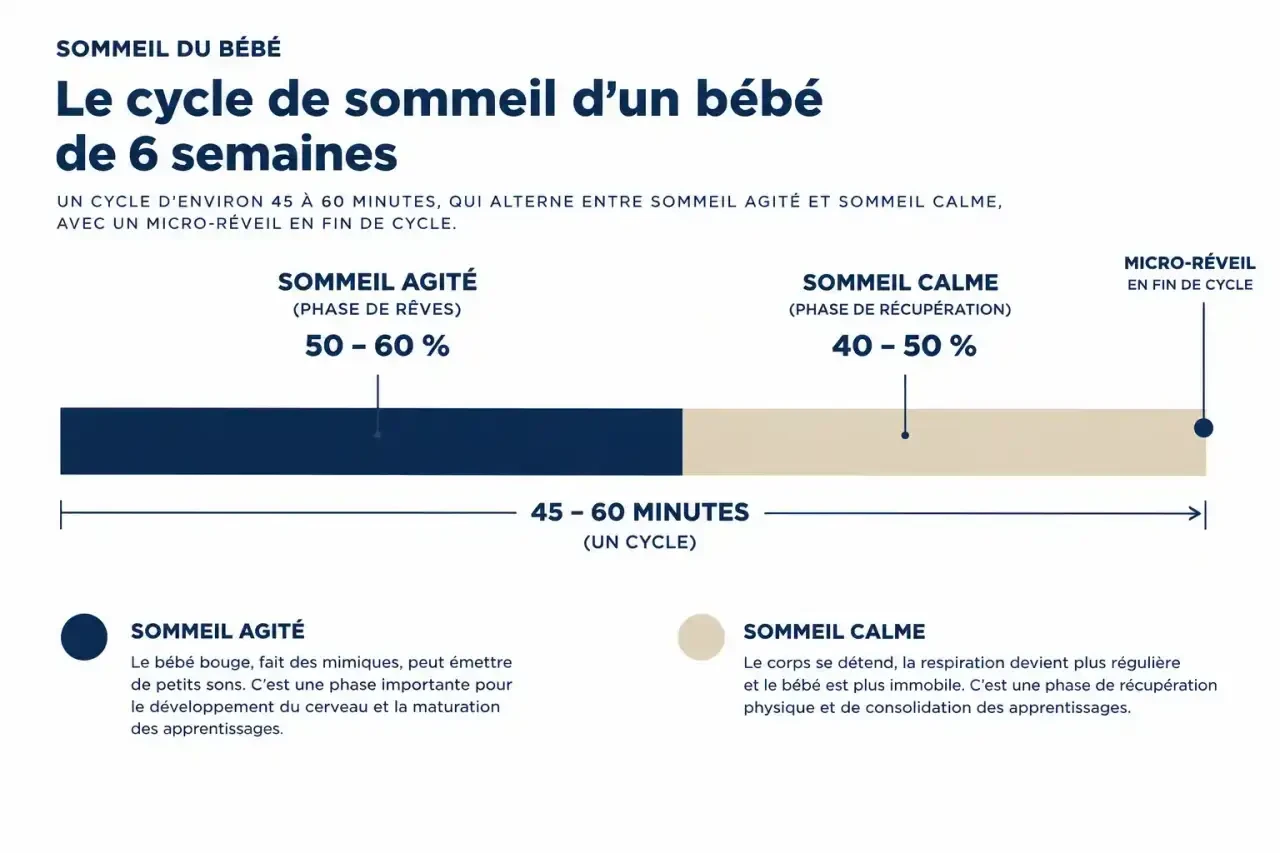Schéma du cycle de sommeil du bébé de 6 semaines : sommeil agité, sommeil calme et micro-réveil