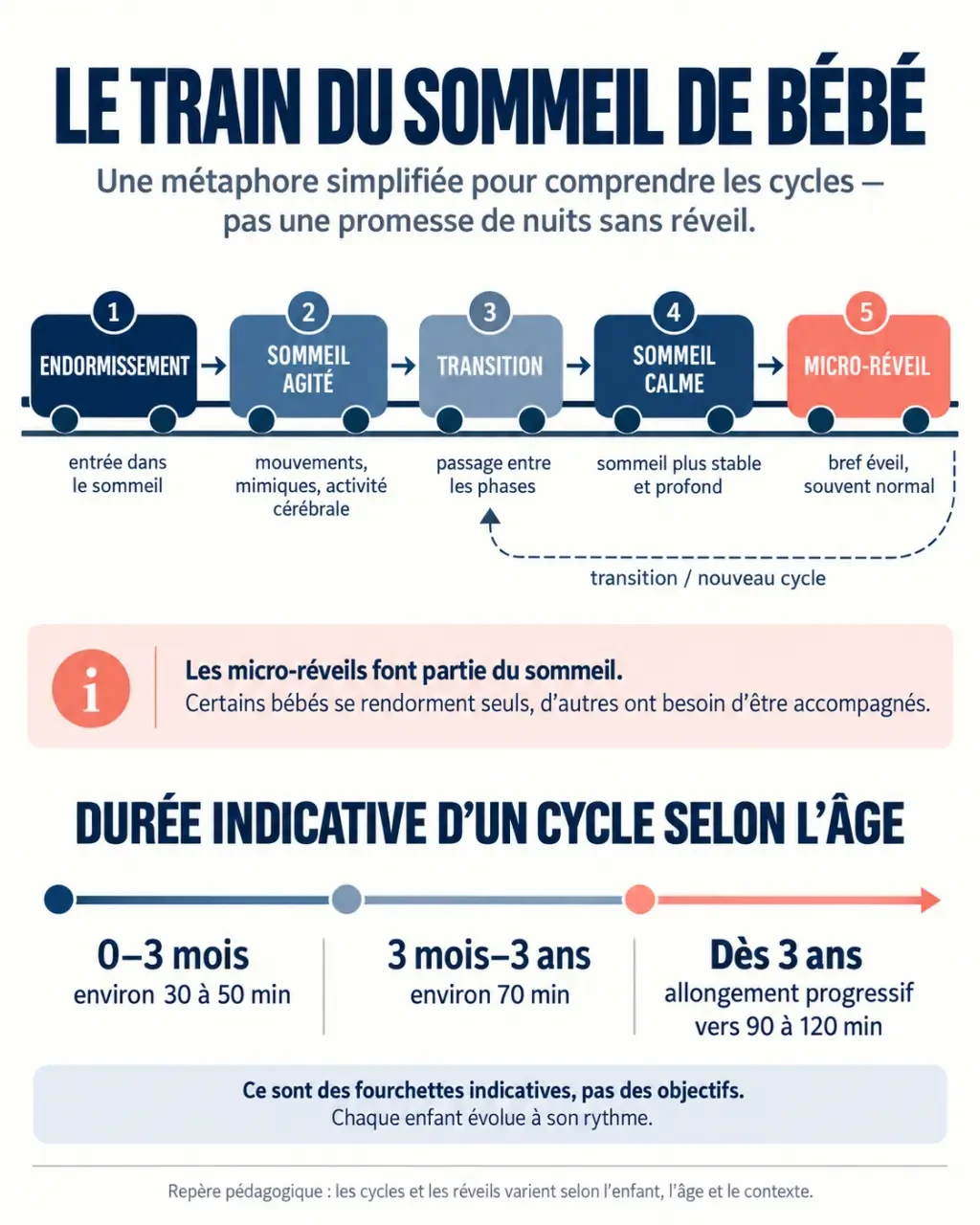 Infographie sur le train du sommeil bébé, ses cycles et leur évolution selon l’âge